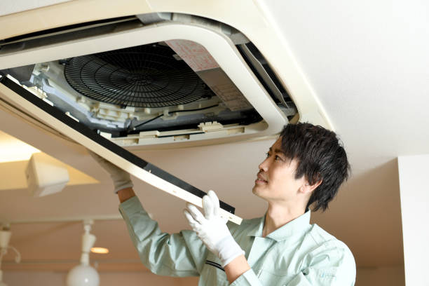 Best Dryer Vent Cleaning Services  in Odon, IN